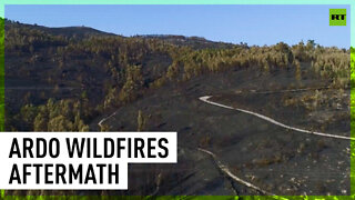 Ardo's wildfire aftermath