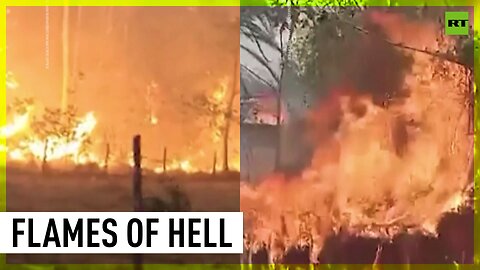 Hellish wildfires ravage Bolivia | Govt requests international help
