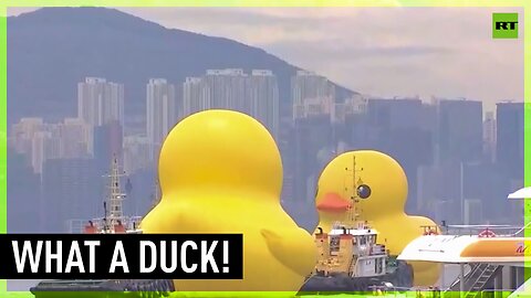 So ducking sad! Rubber toy deflates in Hong Kong harbour