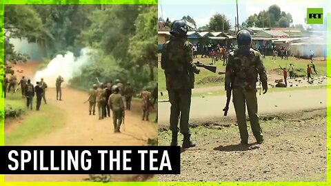 Teapicker Ex Machina | Kenyans protest massive jobs loss to tea-picking machines