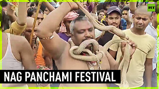 Worshippers carry hundreds of snakes at centuries-old Hindu festival