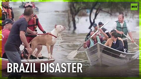 Rescue efforts for people and pets ongoing amid Brazil floods