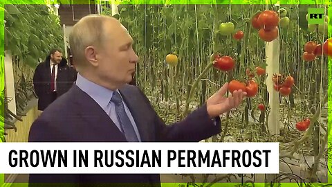 Putin visits greenhouse complex in Chukotka region