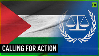 Palestinian organizations call on ICC to take legal action against Israel