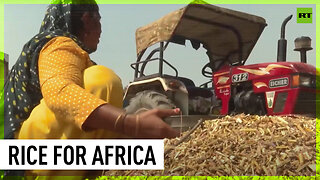 India increases rice supplies to Africa to help cope with food crisis