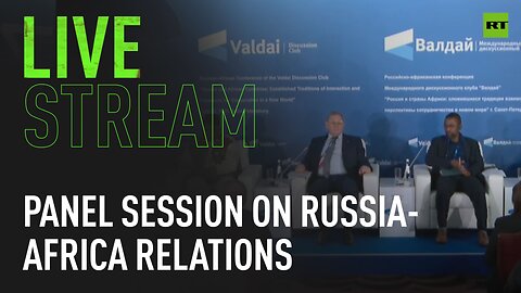 Valdai Club discussion: 'Political Dialogue of Russia and African Countries'