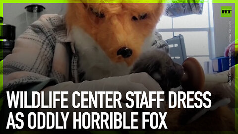 Wildlife center staff dress as oddly horrible fox