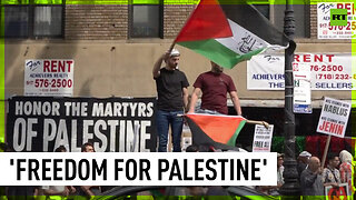 Palestinian Nakba Day demonstration takes place in NYC