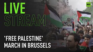 'Free Palestine' European march in Brussels