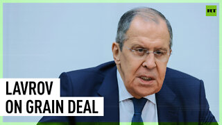 Grain export deal does not prohibit Russia from conducting military operations in Ukraine - Lavrov