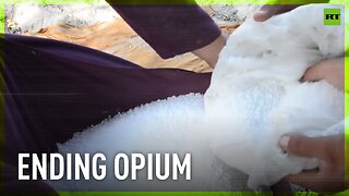 Indonesia helps Afghan farmers find alternatives to opium production