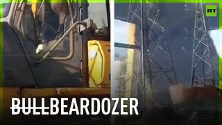 Bear commandeers bulldozer but fails to build road