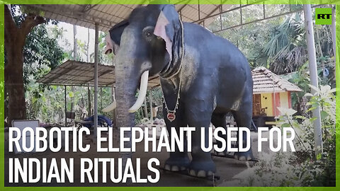 Robotic elephant used for Indian rituals