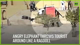 Angry elephant throws tourist around like a ragdoll