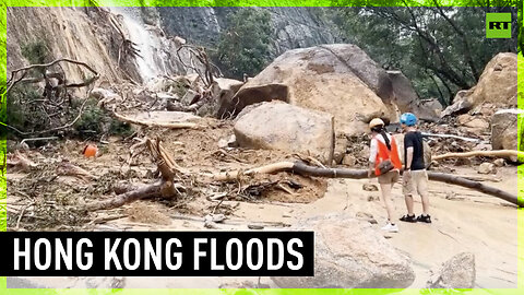 Hong Kong inundated with remnants of Typhoon Haikui