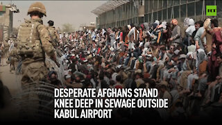 Desperate Afghans stand knee deep in sewage outside Kabul airport