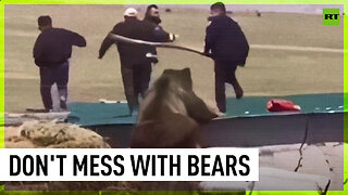 Bad-tempered bear rampages through Chinese village