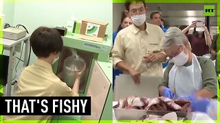 IAEA watch Japanese lab testing radiation in fish amid Fukushima water dumping