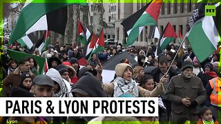 ‘Palestine will live, Palestine will win’ | French protesters demand end to fighting in Gaza