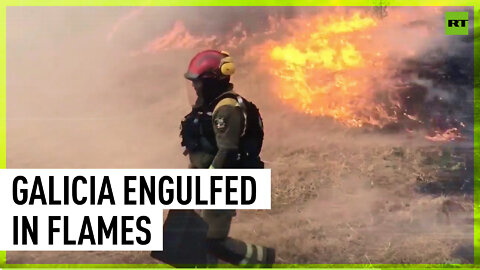 Spain Inferno: Massive wildfires continue to terrorize the country
