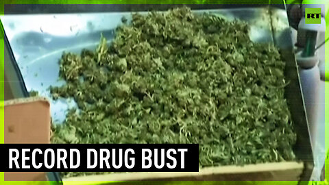 Record-breaking haul of marijuana seized in Spain