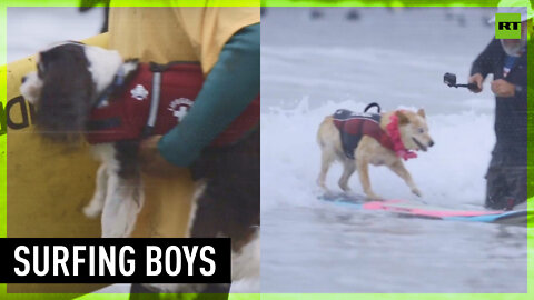Good boys make waves at world dog surfing championships