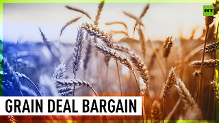Not a single item in the grain deal concerning Russian interests has been implemented – Putin