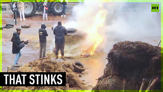 Streets of Toulouse covered in manure as farmers protest EU environmental restrictions