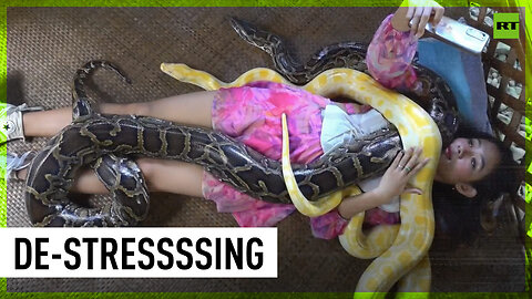 Philippines farm offers ‘snake massages’ to stressed tourists