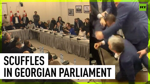 Georgian lawmakers fight over 'foreign agents' bill