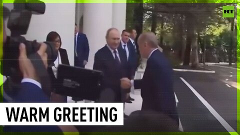 Putin greets Türkiye’s Erdogan in Sochi ahead of grain deal talks