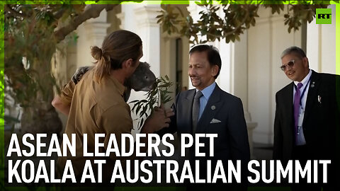 ASEAN leaders pet koala at Australian summit