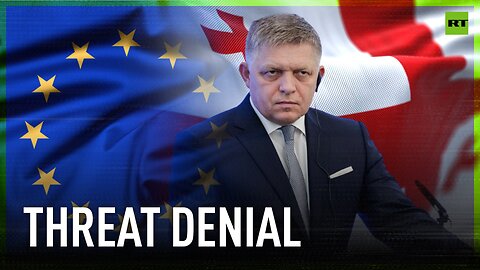 EU Commissioner admits referring to Fico attack in talks with Georgian PM