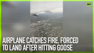 Airplane catches fire, forced to land after hitting geese