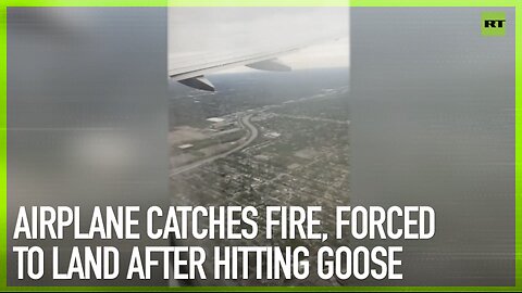 Airplane catches fire, forced to land after hitting geese