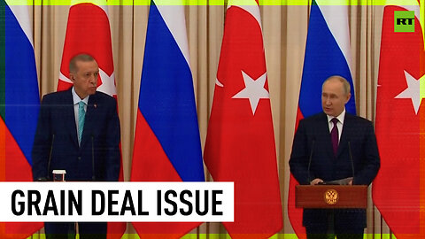 Russia ready to resume grain deal - Putin
