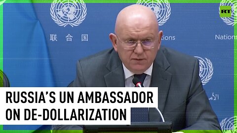 World needs to get off the dollar needle - Russia’s UN ambassador