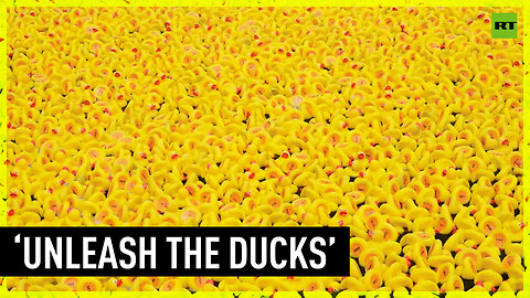 Quack-tastic! Rubber duck race raises funds for children in need
