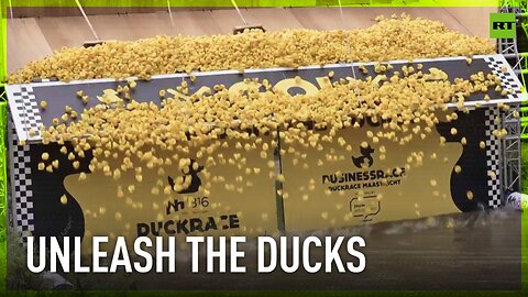 Dutch rubber duck race raises over €300,000 for charity