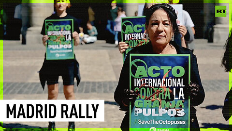 Spanish environment activists slam planned industrial octopus farm