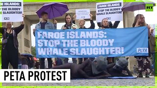 PETA activists protest over Faroe Islands pilot whale hunt