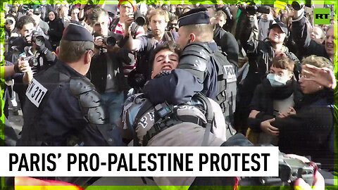Protesters clash with police at pro-Palestine rally in France