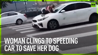 Woman clings to speeding car to save her dog