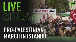 Pro-Palestinian march takes place in Istanbul