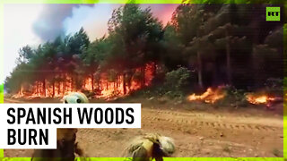 Wildfires takeover Spain's woodland