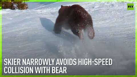 Skier narrowly avoids high-speed collision with bear