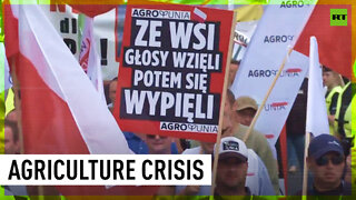 Polish farmers march against increase in production costs