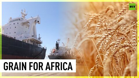 Zimbabwe set to receive free grain as Russia sends cargo to African nations