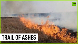 Devastating wildfire scars 850,000 acres of Texas land