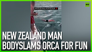New Zealand man bodyslams orca for fun